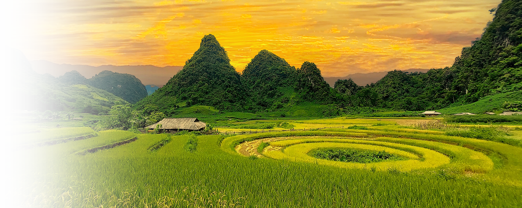 Hình ảnh địa phương